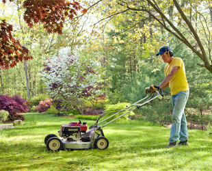 Divine Tree Ltd. Divine Tree Ltd.